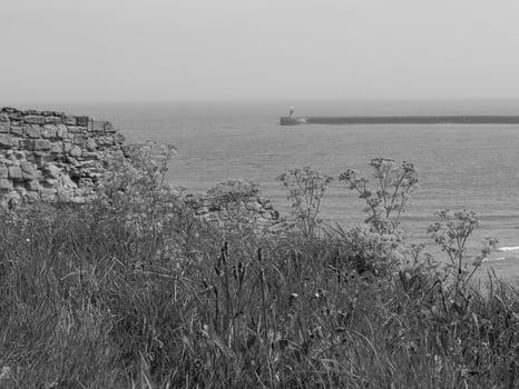 newcastle and tynemouth in england photo