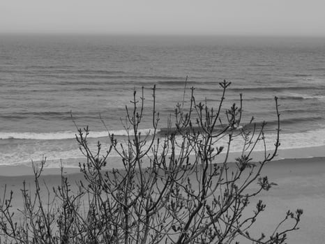 newcastle and tynemouth in england photo