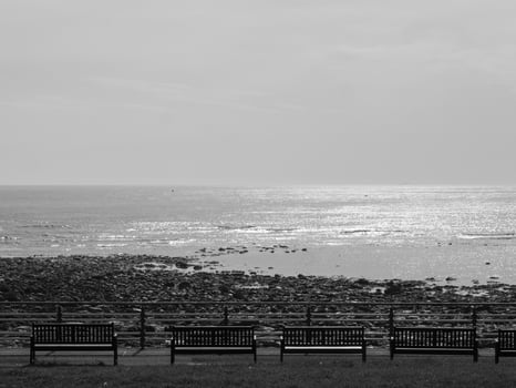 the east coast of England photo