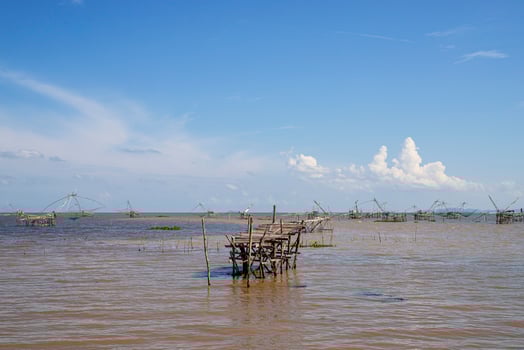 Thale Noi, Phatthalung, Thailand photo