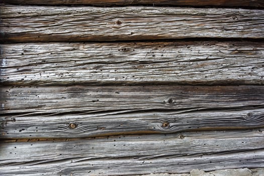 wooden gray frame texture of old house with burrow eaten bark beetle photo