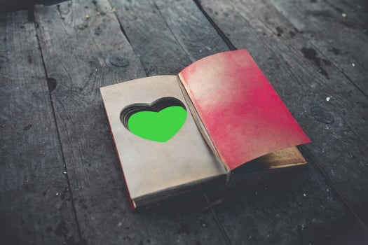 Charming vintage book with handmade heart green place to input you item photo