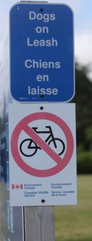 dogs on leash sign photo