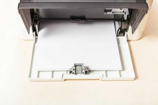 sheets of blank white paper in printer tray photo