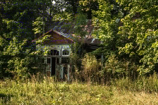 abandoned old house overgrown with bushes and trees photo
