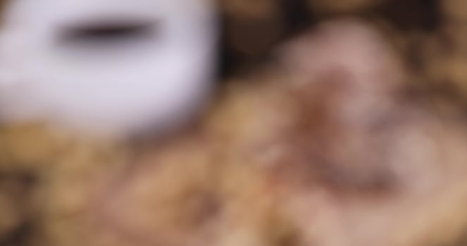 a delicious dessert that is out of focus at first photo