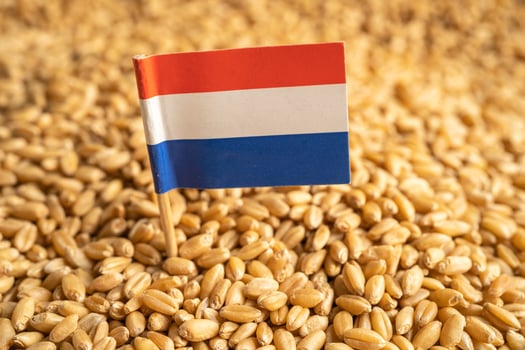 Grains wheat with Netherland flag, trade export and economy concept. photo