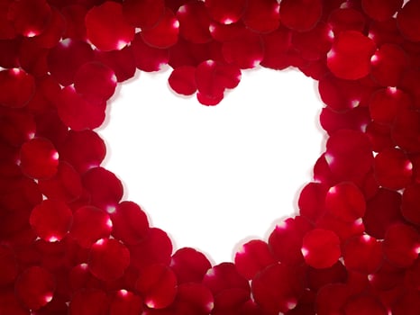 Heart of red rose petals isolated on white background photo