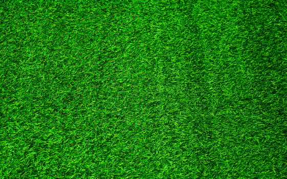 Green grass texture background grass garden concept used for making green background football pitch, Grass Golf, green lawn pattern textured background. photo