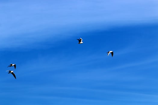 The sky over the Mediterranean Sea in northern Israel. photo