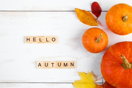 Hello autumn. Ripe pumpkins and fallen yellow leaves on white background. Halloween and Thanksgiving symbol. photo