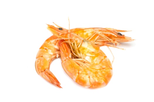 boiled prawn on white background photo