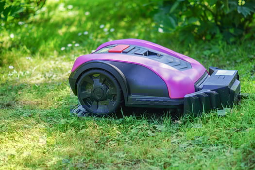 pink and black robot lawn mower on the lawn photo