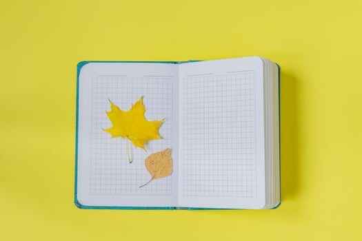 Blank open notebook with maple and birch leaves  on yellow background. Empty diary and autumn concept photo