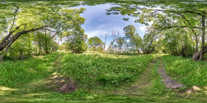 full seamless spherical hdri panorama 360 degrees angle view on cycling and pedestrian walking path among the bushes of forest in equirectangular projection, ready VR AR virtual reality content photo