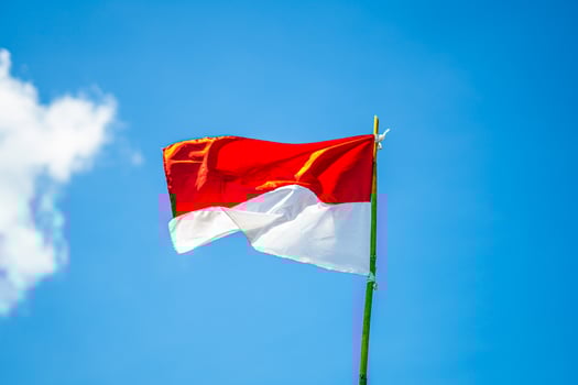 Indonesian flag with sky background photo