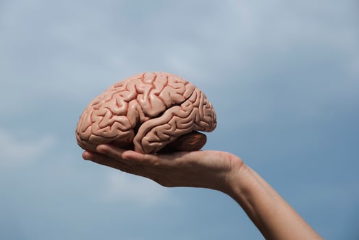 Artificial human brain model and hand holding photo