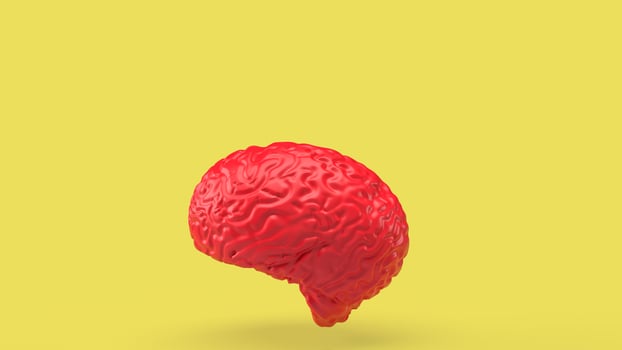 red brain on yellow back ground 3d rendering photo
