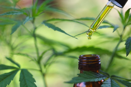 Hemp flowers and droplet dosing a biological and ecological hemp plant herbal pharmaceutical cbd oil from a jar on a green marijuana leaf background.  medical marijuana concept, CBD cannabis OIL. photo