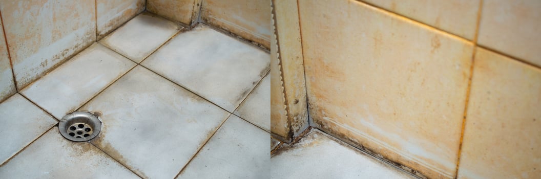 Stains on joints, corners, and surfaces of bathroom tiles. Source of the pathogen. photo
