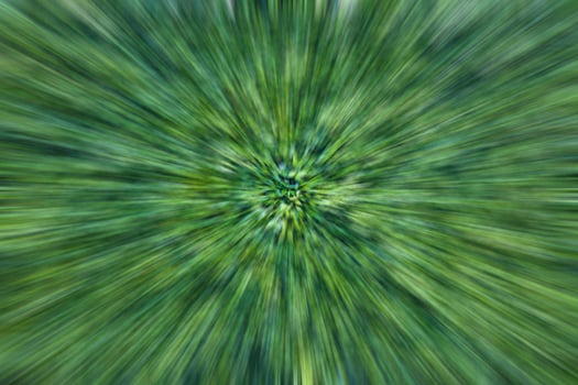 The abstract background radial blurs a cluster of many brilliant green leaves. photo
