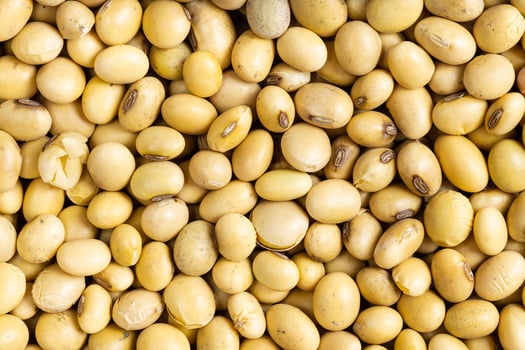 background - many raw dried soybeans photo