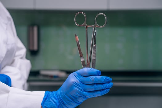 A rubber gloved hand holds two scalpels and a clamp photo