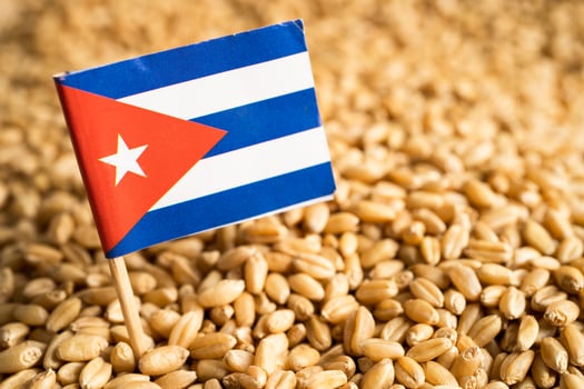 Grains wheat with Cuba flag, trade export and economy concept. photo