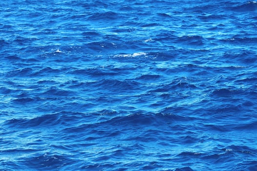 Ocean water close-up photo