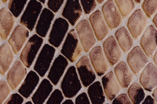 Abstract pattern background photo