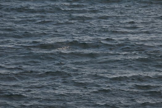 Waves on the sea photo