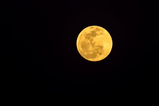 Close-up view of the moon photo