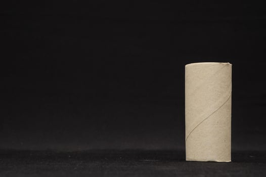 Empty toilet paper roll photo