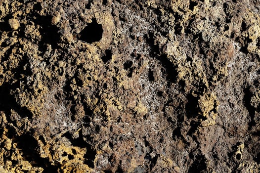 Sea rocks close-up photo