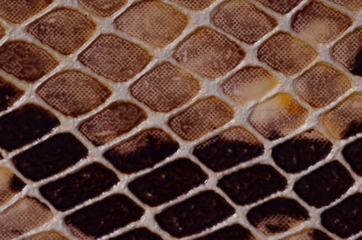 Abstract pattern background photo