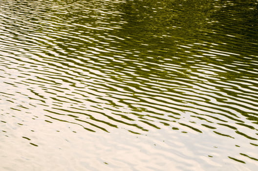 River water close-up photo