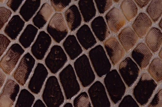 Abstract geometric pattern photo