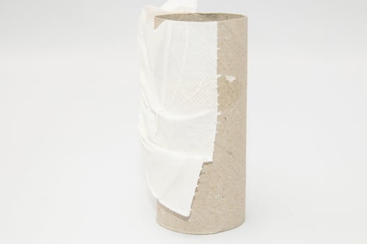 Empty toilet paper roll photo