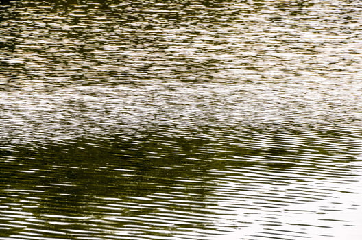 Sea water close-up photo