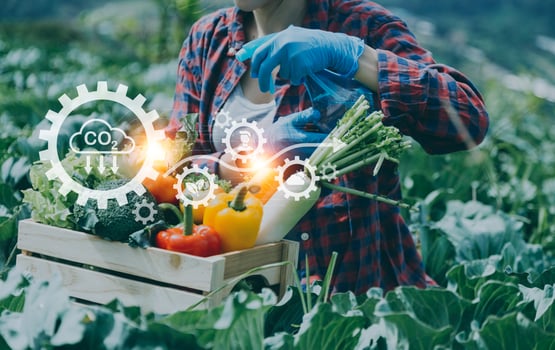 Futuristic businessman farms vegetables and crops using modern AI technology using mobile phones, temperature and humidity sensors, water tracking, climate control, holographic data data icons. photo
