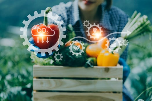 Futuristic businessman farms vegetables and crops using modern AI technology using mobile phones, temperature and humidity sensors, water tracking, climate control, holographic data data icons. photo