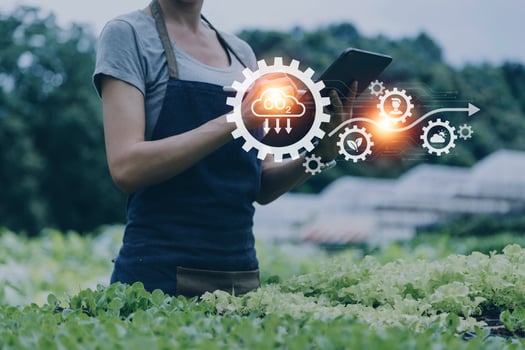 Futuristic businessman farms vegetables and crops using modern AI technology using mobile phones, temperature and humidity sensors, water tracking, climate control, holographic data data icons. photo