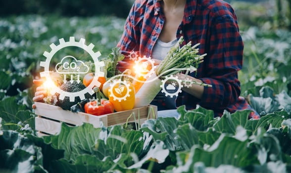 Futuristic businessman farms vegetables and crops using modern AI technology using mobile phones, temperature and humidity sensors, water tracking, climate control, holographic data data icons. photo
