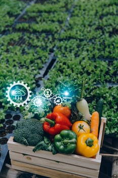Futuristic businessman farms vegetables and crops using modern AI technology using mobile phones, temperature and humidity sensors, water tracking, climate control, holographic data data icons. photo