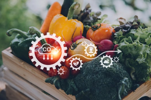 Futuristic businessman farms vegetables and crops using modern AI technology using mobile phones, temperature and humidity sensors, water tracking, climate control, holographic data data icons. photo