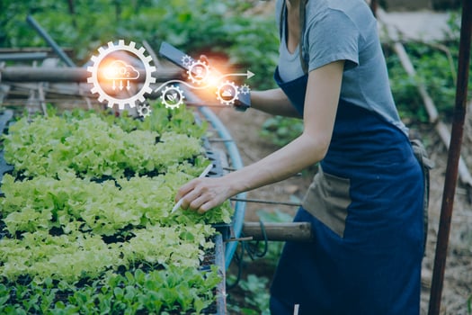Futuristic businessman farms vegetables and crops using modern AI technology using mobile phones, temperature and humidity sensors, water tracking, climate control, holographic data data icons. photo