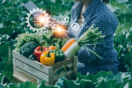 Futuristic businessman farms vegetables and crops using modern AI technology using mobile phones, temperature and humidity sensors, water tracking, climate control, holographic data data icons. photo