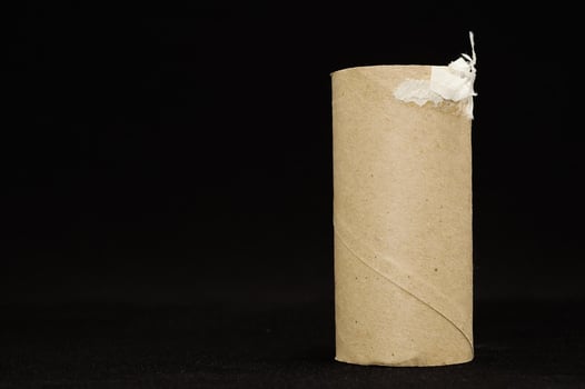 Empty toilet paper roll photo