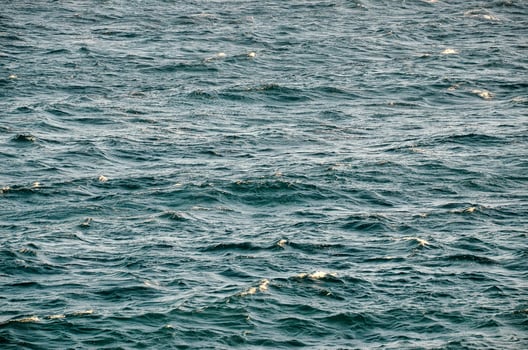 Seascape in summer photo