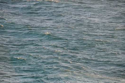 Seascape in summer photo